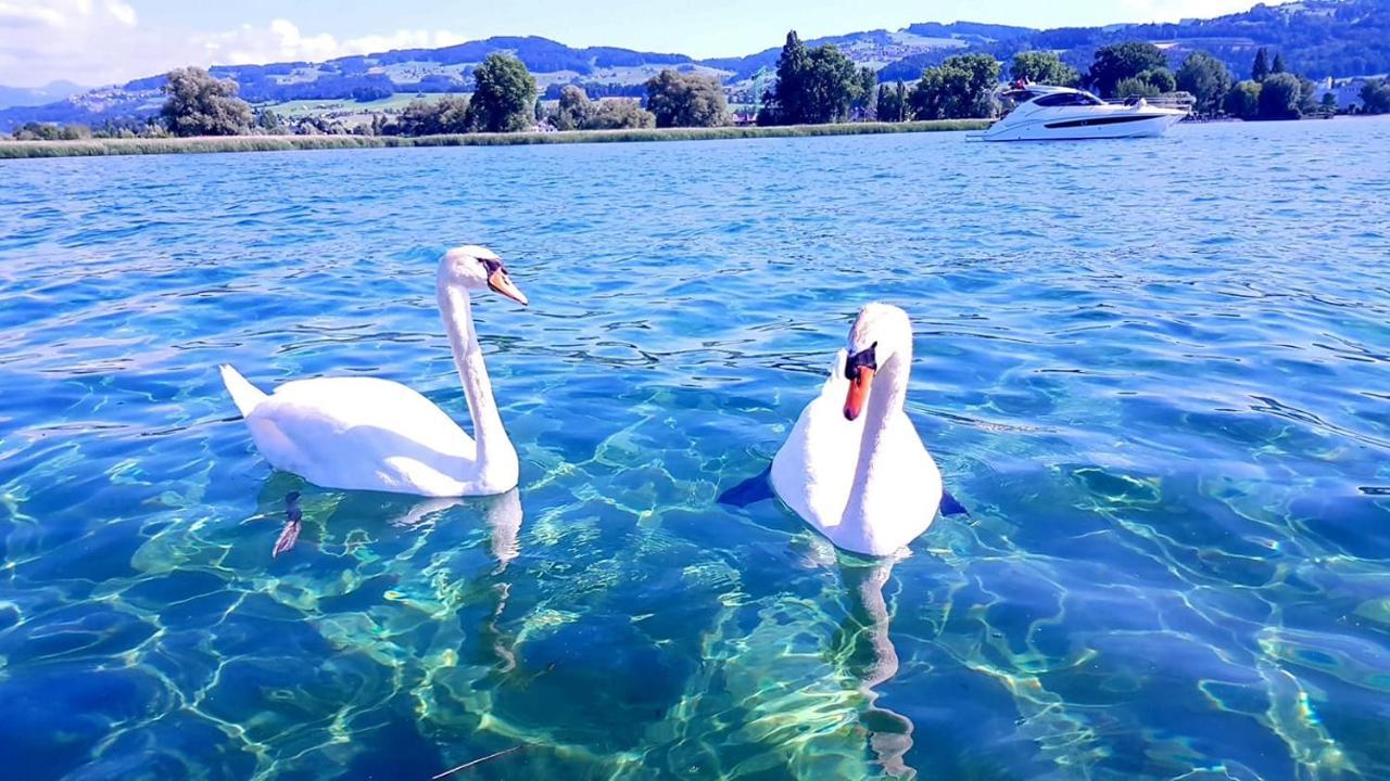 Schoenes Studio In Arbon Am Bodensee Neu Klimatisiert ! Екстериор снимка